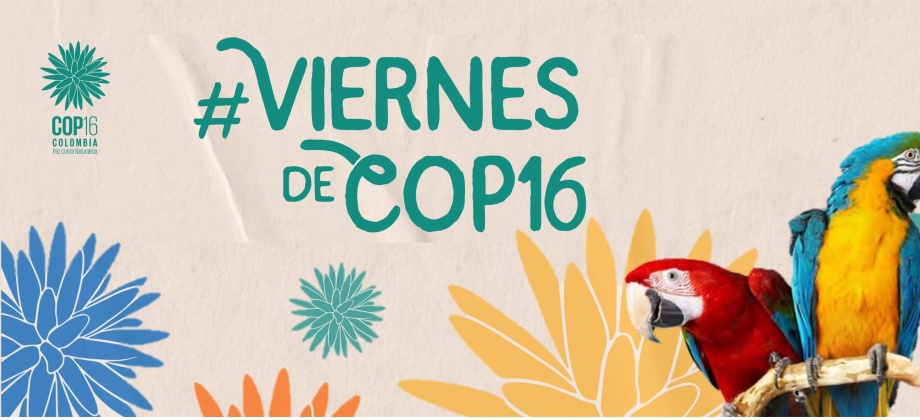 Graba tu video y únete a los viernes de COP16